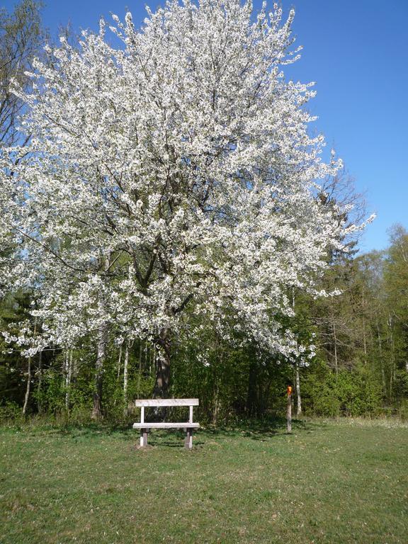 Valle Vandrarhem Axvall 외부 사진