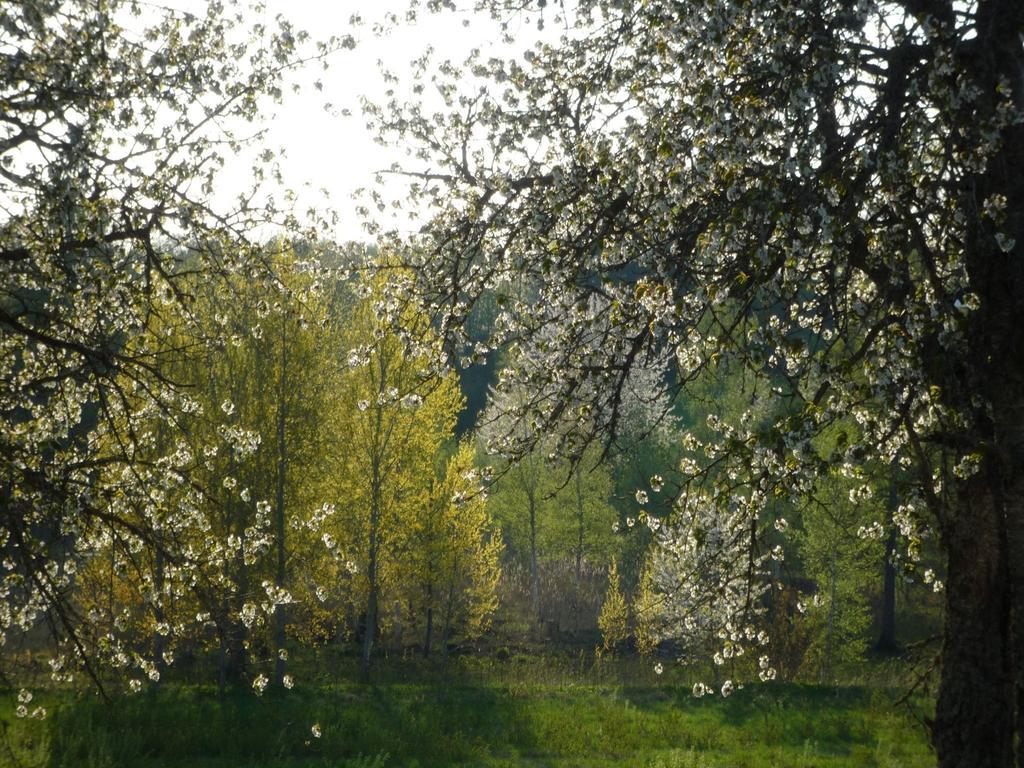 Valle Vandrarhem Axvall 외부 사진